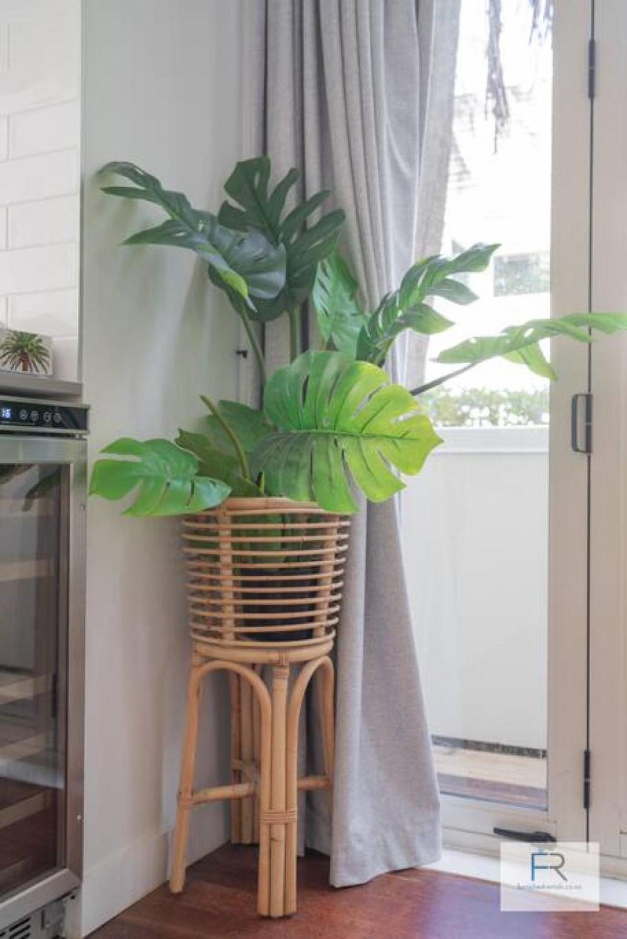 Chic Parnell Townhouse Villa Auckland Luaran gambar